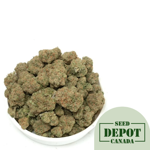 product-desc-1
